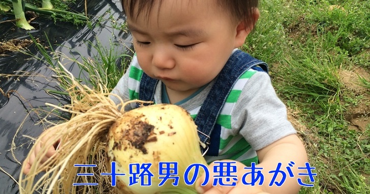 信貴山のどか村/味覚狩りにBBQ、芝生でお弁当もオススメ!